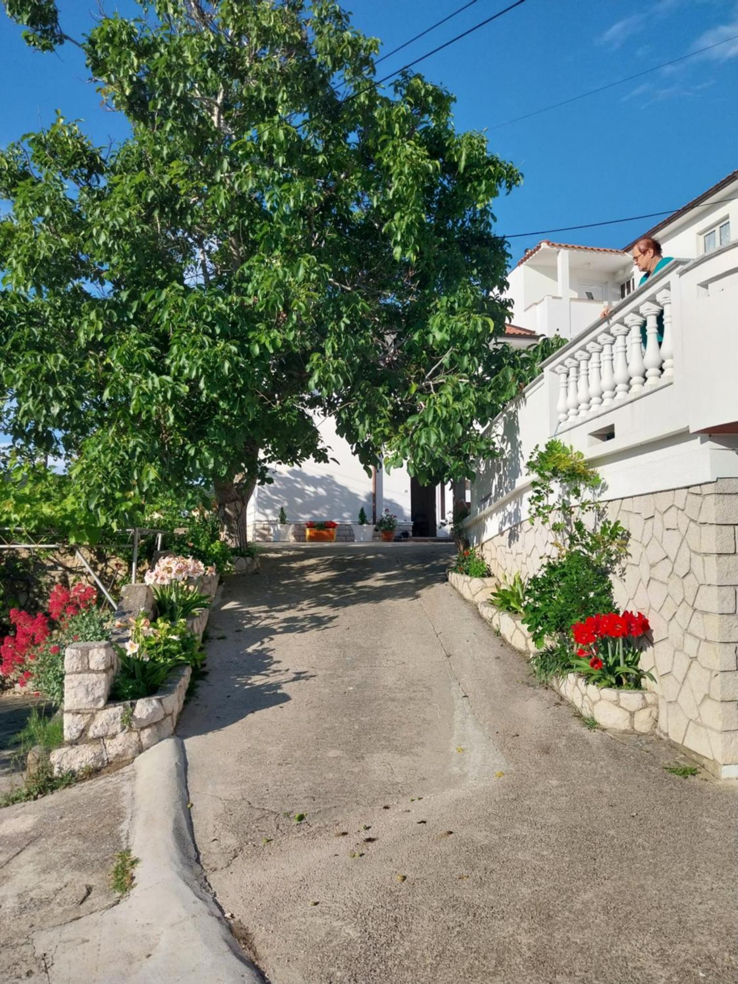Ljubica Apartments And Rooms Supetarska Draga Extérieur photo